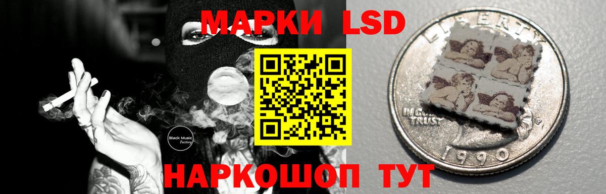 Бошки Шишки Карпинск